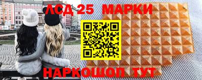 крисы Можга