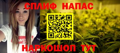 крисы Можга
