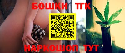 крисы Можга
