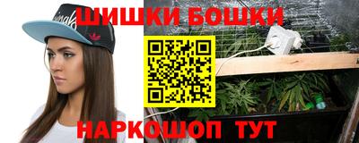 крисы Можга