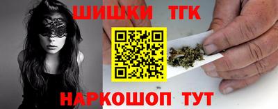 крисы Можга