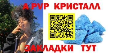 крисы Можга