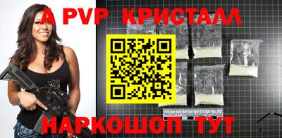крисы Можга
