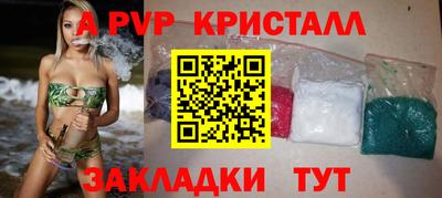 крисы Можга