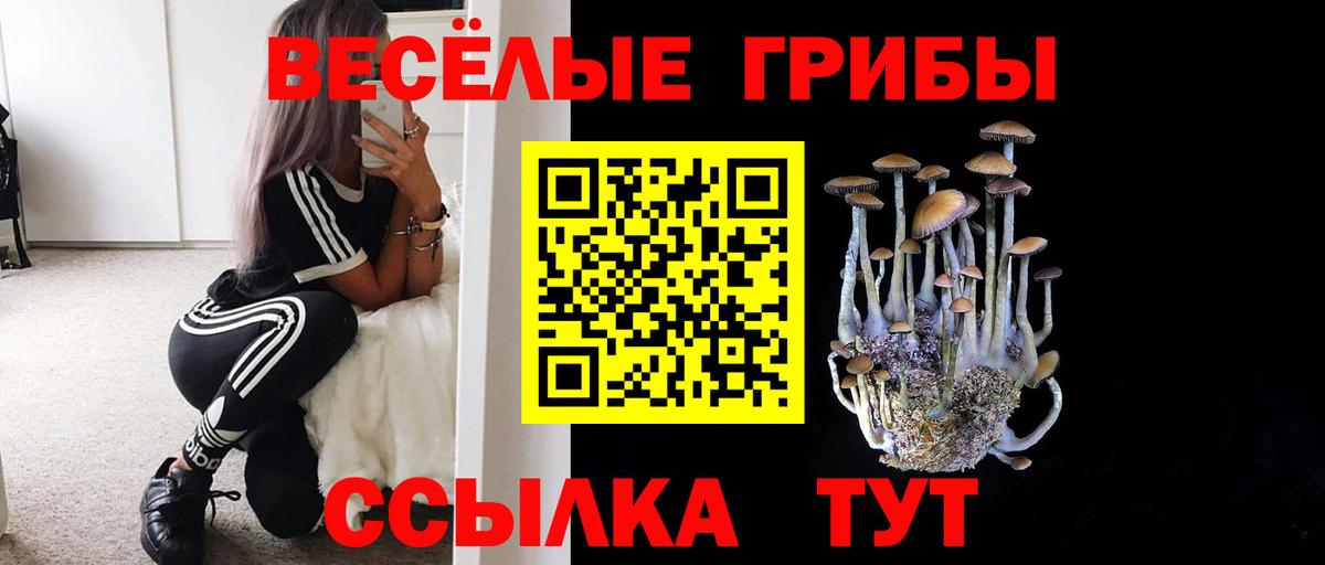 Галлюциногенные грибы мухоморы  Вход с VPN  Чапаевск 