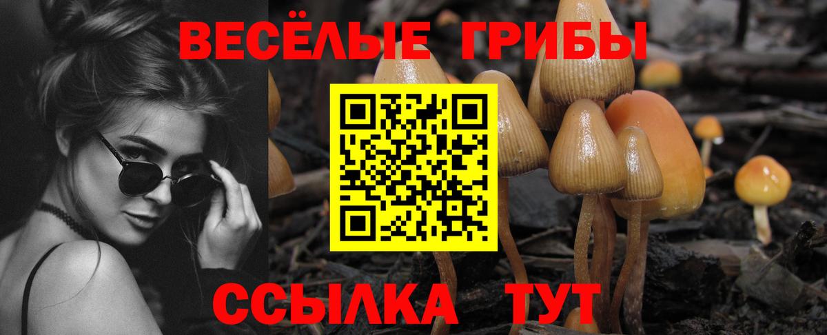 Псилоцибиновые грибы мицелий Чапаевск
